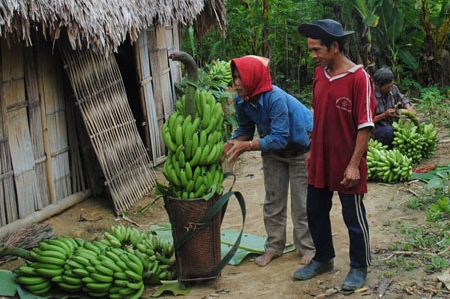 Die Neugestaltung ländlicher Räume im Nam-Dong Kreis